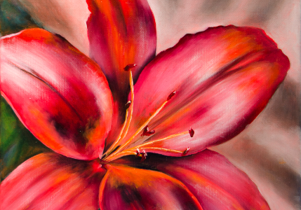 Individual Tutorials